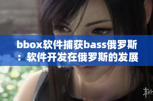 bbox软件捕获bass俄罗斯：软件开发在俄罗斯的发展情况