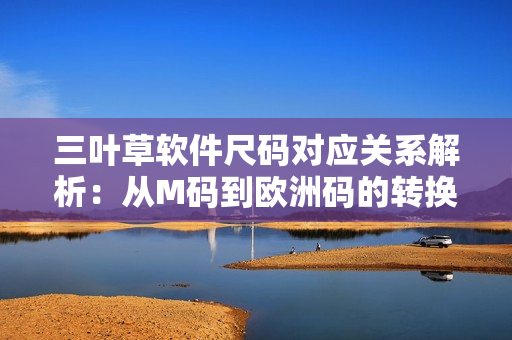 三叶草软件尺码对应关系解析：从M码到欧洲码的转换方法