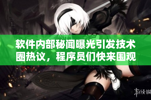 软件内部秘闻曝光引发技术圈热议，程序员们快来围观！