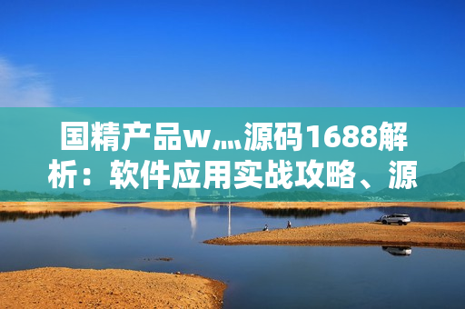 国精产品w灬源码1688解析：软件应用实战攻略、源码解读与技术探讨