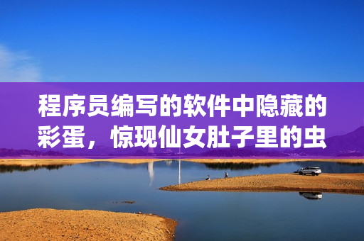 程序员编写的软件中隐藏的彩蛋，惊现仙女肚子里的虫卵