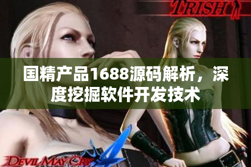 国精产品1688源码解析，深度挖掘软件开发技术