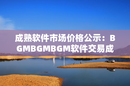 成熟软件市场价格公示：BGMBGMBGM软件交易成本一览