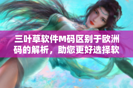 三叶草软件M码区别于欧洲码的解析，助您更好选择软件尺码