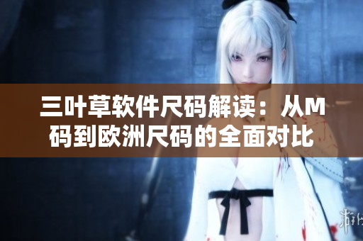 三叶草软件尺码解读：从M码到欧洲尺码的全面对比