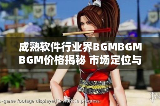 成熟软件行业界BGMBGMBGM价格揭秘 市场定位与价格策略深度解析