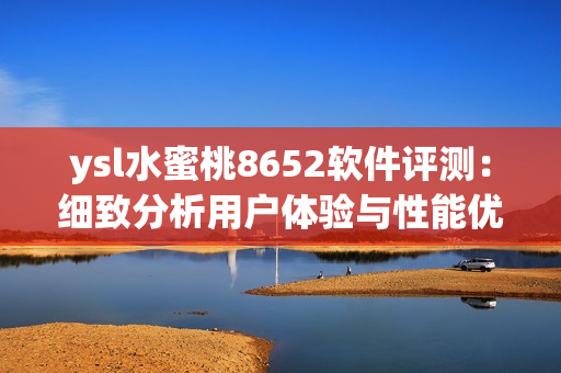 ysl水蜜桃8652软件评测：细致分析用户体验与性能优化
