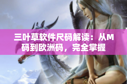 三叶草软件尺码解读：从M码到欧洲码，完全掌握
