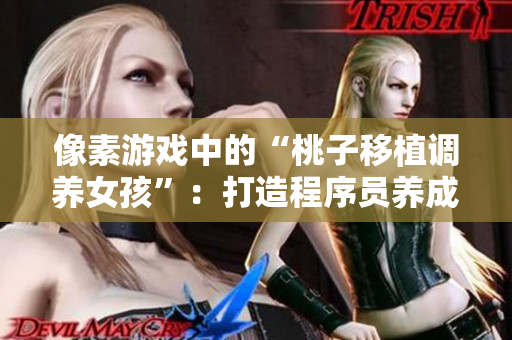 像素游戏中的“桃子移植调养女孩”：打造程序员养成计划