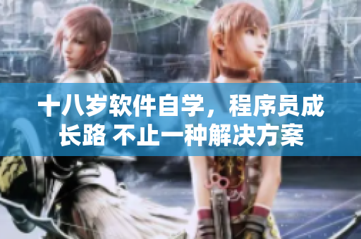 十八岁软件自学，程序员成长路 不止一种解决方案