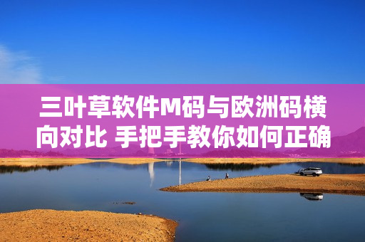 三叶草软件M码与欧洲码横向对比 手把手教你如何正确选择尺码