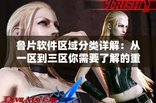 鲁片软件区域分类详解：从一区到三区你需要了解的重要信息