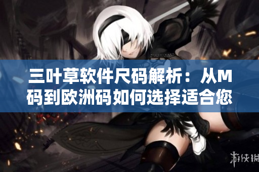 三叶草软件尺码解析：从M码到欧洲码如何选择适合您的尺码