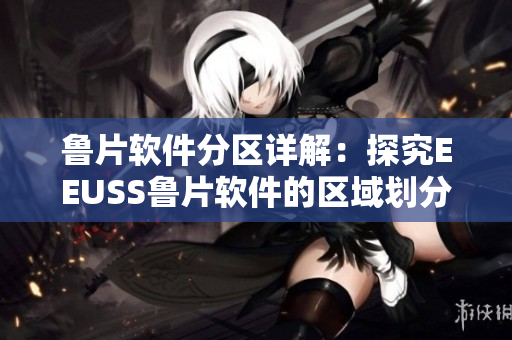 鲁片软件分区详解：探究EEUSS鲁片软件的区域划分及功能特点