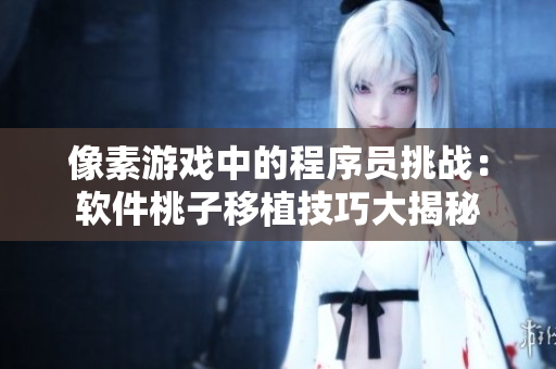 像素游戏中的程序员挑战：软件桃子移植技巧大揭秘