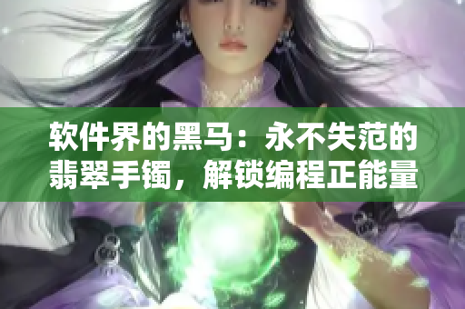 软件界的黑马：永不失范的翡翠手镯，解锁编程正能量