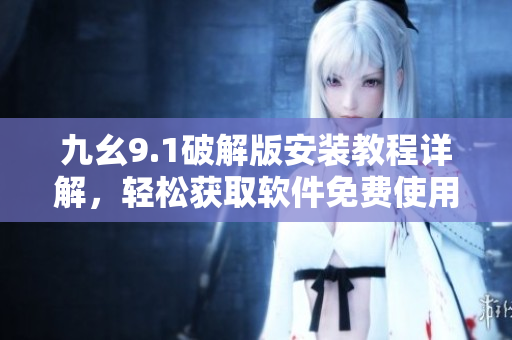 九幺9.1破解版安装教程详解，轻松获取软件免费使用权