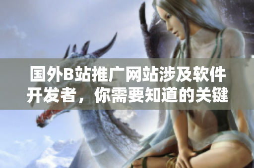 国外B站推广网站涉及软件开发者，你需要知道的关键信息
