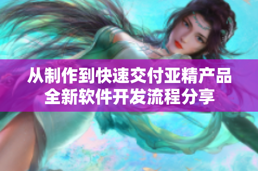 从制作到快速交付亚精产品全新软件开发流程分享