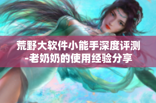 荒野大软件小能手深度评测-老奶奶的使用经验分享