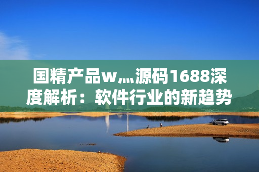 国精产品w灬源码1688深度解析：软件行业的新趋势探讨