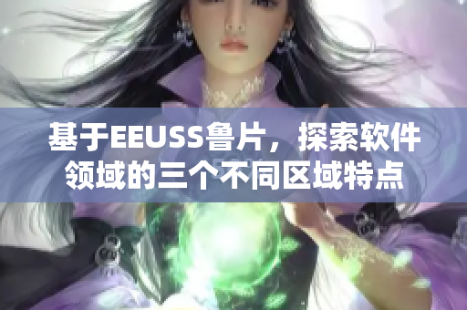 基于EEUSS鲁片，探索软件领域的三个不同区域特点