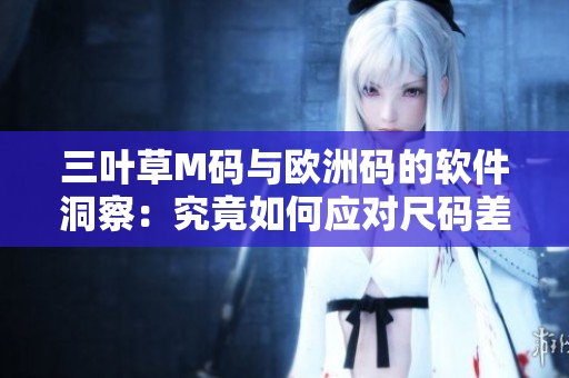 三叶草M码与欧洲码的软件洞察：究竟如何应对尺码差异？