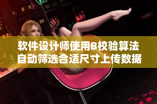 软件设计师使用B校验算法自动筛选合适尺寸上传数据