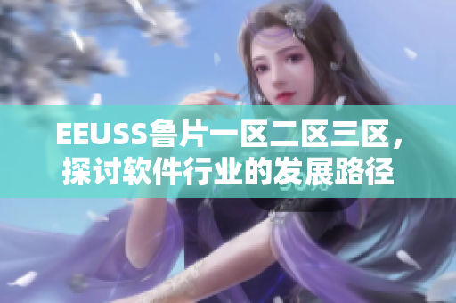 EEUSS鲁片一区二区三区，探讨软件行业的发展路径