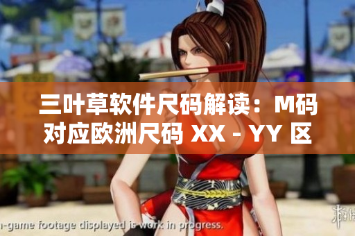 三叶草软件尺码解读：M码对应欧洲尺码 XX - YY 区别解析