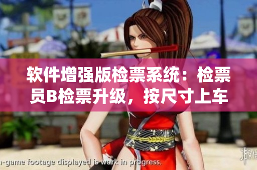 软件增强版检票系统：检票员B检票升级，按尺寸上车