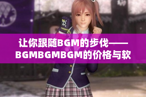 让你跟随BGM的步伐——BGMBGMBGM的价格与软件是如何相关的？