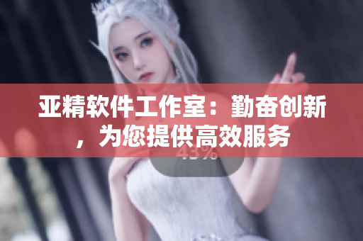 亚精软件工作室：勤奋创新，为您提供高效服务
