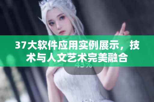 37大软件应用实例展示，技术与人文艺术完美融合