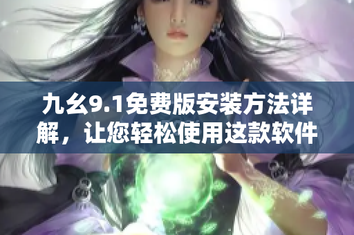九幺9.1免费版安装方法详解，让您轻松使用这款软件