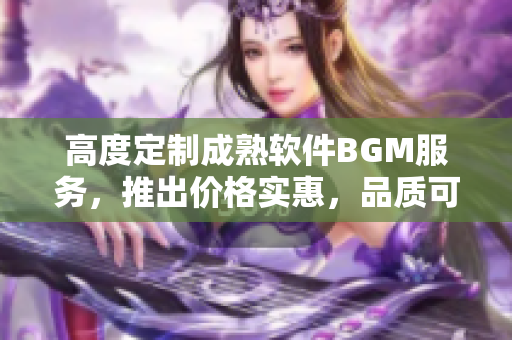 高度定制成熟软件BGM服务，推出价格实惠，品质可靠上线！