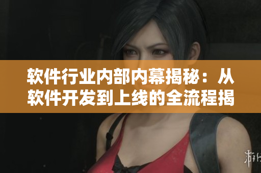 软件行业内部内幕揭秘：从软件开发到上线的全流程揭露