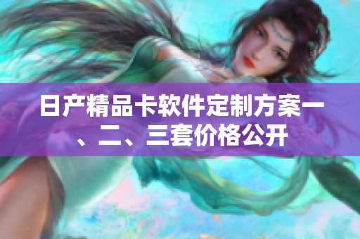 日产精品卡软件定制方案一、二、三套价格公开