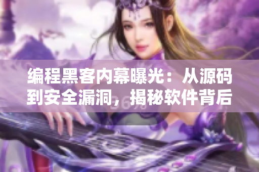 编程黑客内幕曝光：从源码到安全漏洞，揭秘软件背后的秘辛