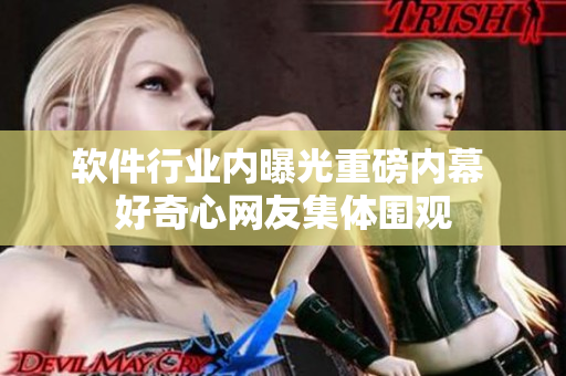 软件行业内曝光重磅内幕 好奇心网友集体围观