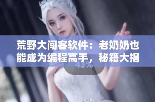荒野大闯客软件：老奶奶也能成为编程高手，秘籍大揭晓!