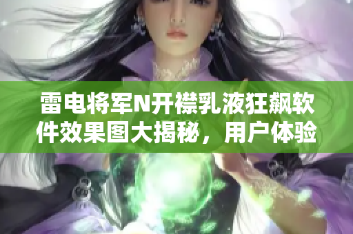 雷电将军N开襟乳液狂飙软件效果图大揭秘，用户体验全方位解析