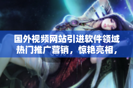 国外视频网站引进软件领域热门推广营销，惊艳亮相，技术人员倾心追逐