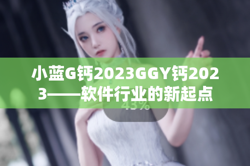 小蓝G钙2023GGY钙2023——软件行业的新起点