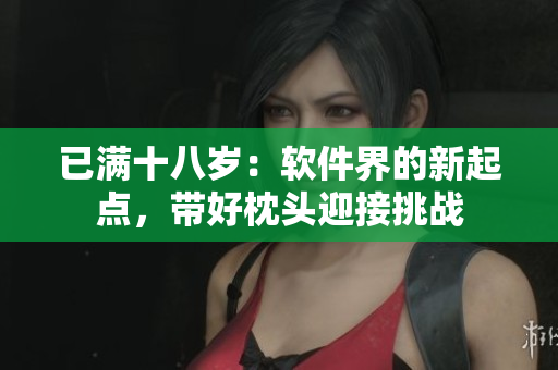 已满十八岁：软件界的新起点，带好枕头迎接挑战