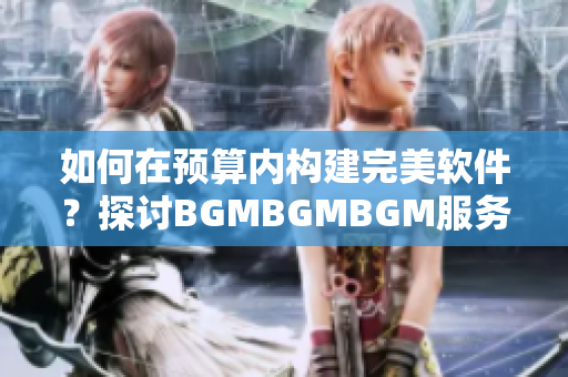 如何在预算内构建完美软件？探讨BGMBGMBGM服务的性价比