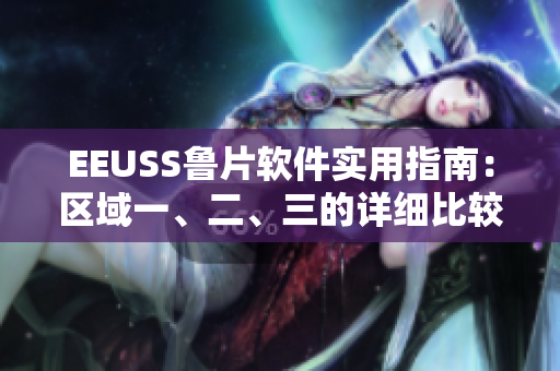 EEUSS鲁片软件实用指南：区域一、二、三的详细比较分析