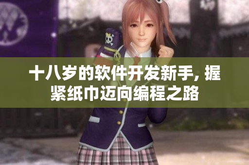 十八岁的软件开发新手, 握紧纸巾迈向编程之路