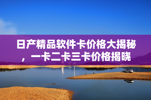 日产精品软件卡价格大揭秘，一卡二卡三卡价格揭晓