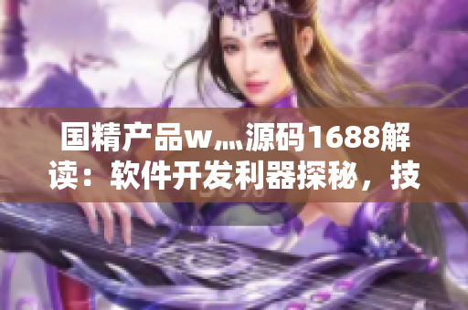 国精产品w灬源码1688解读：软件开发利器探秘，技术极限挑战